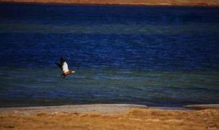 湖南海拔最高 中国海拔最高的县城